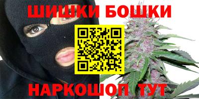 индика Бийск