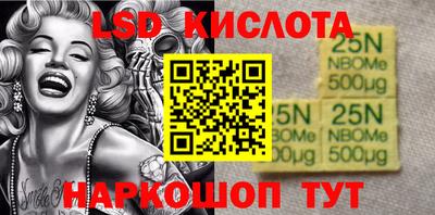 индика Бийск