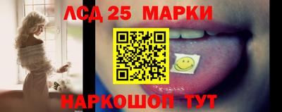 индика Бийск