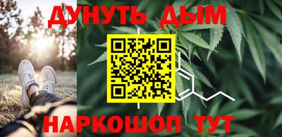 индика Бийск