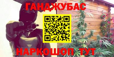 индика Бийск