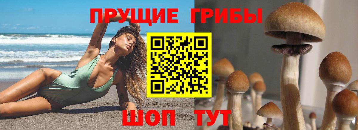 Добрянка  продажа наркотиков  Вход с VPN  Галлюциногенные грибы GOLDEN TEACHER 